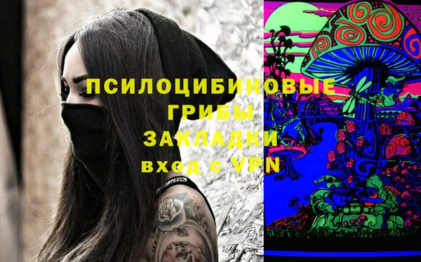 Альфа ПВП Бородино
